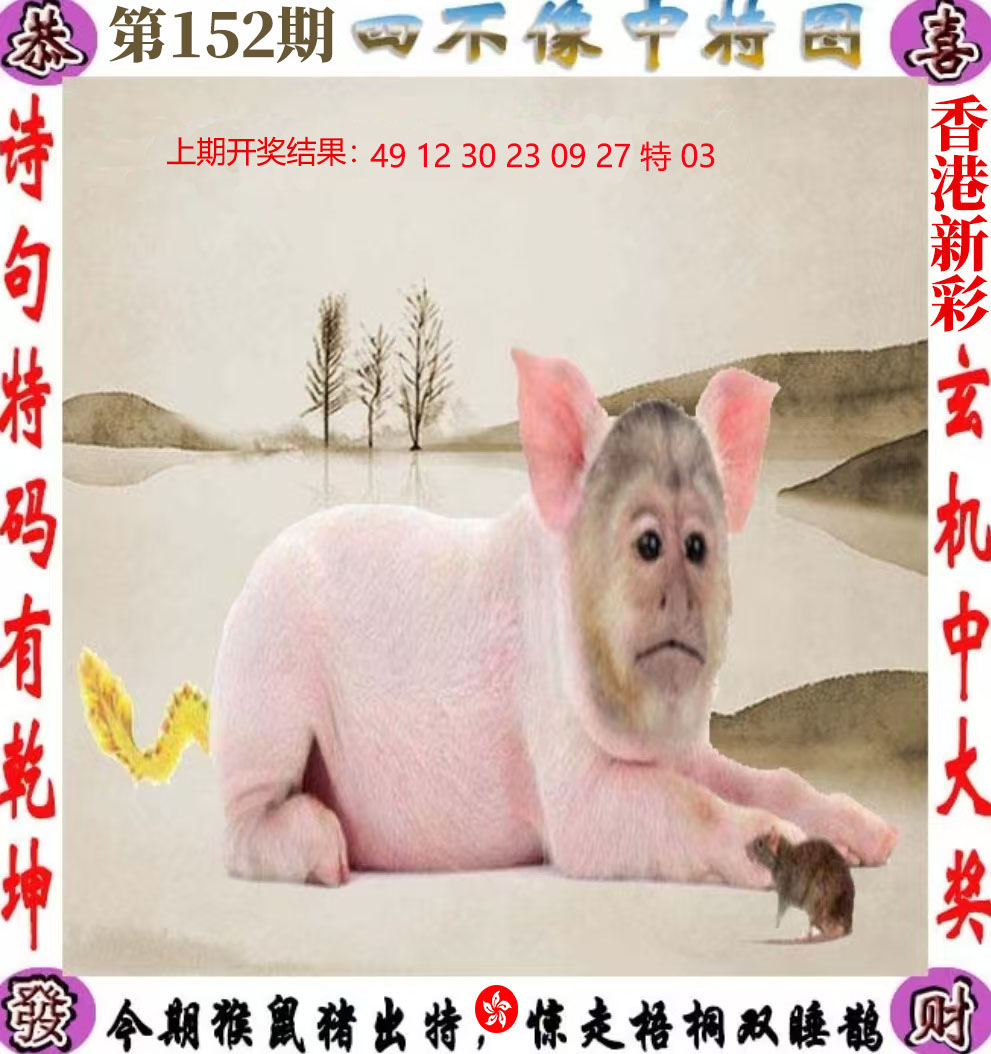 First Image