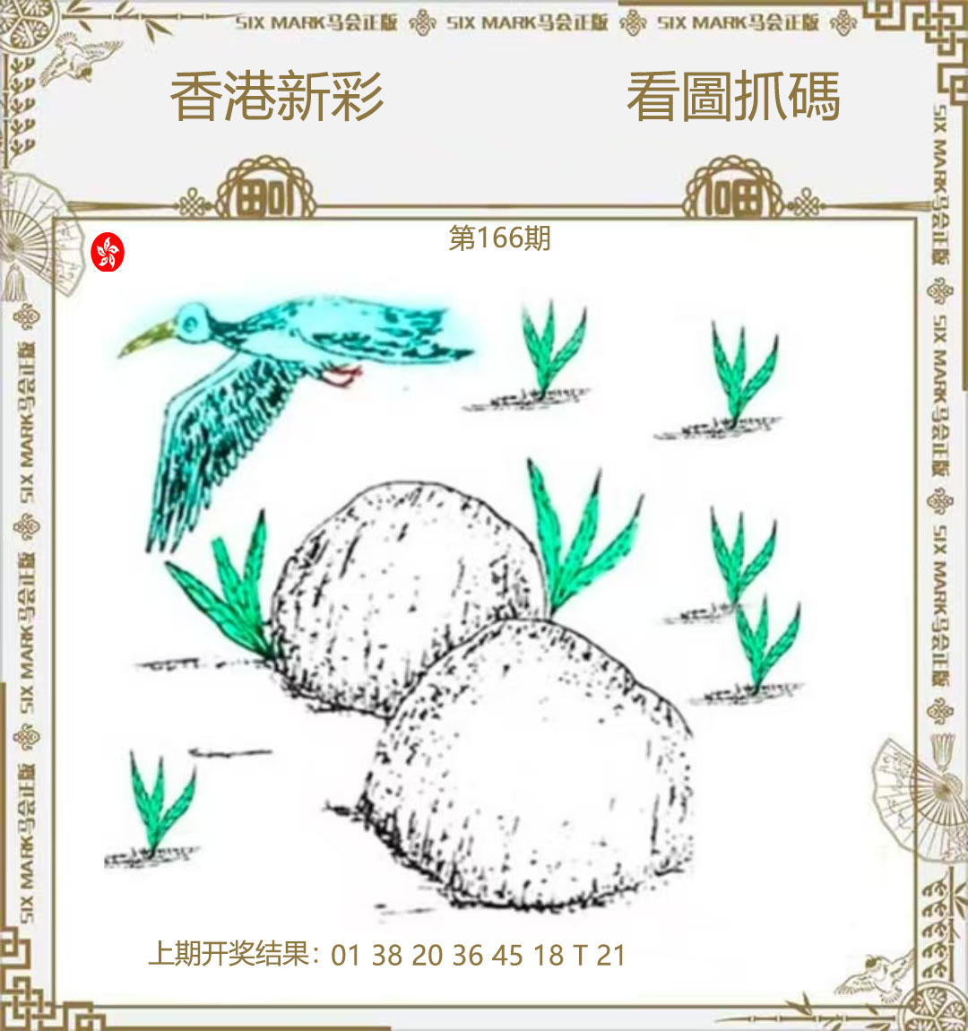 First Image
