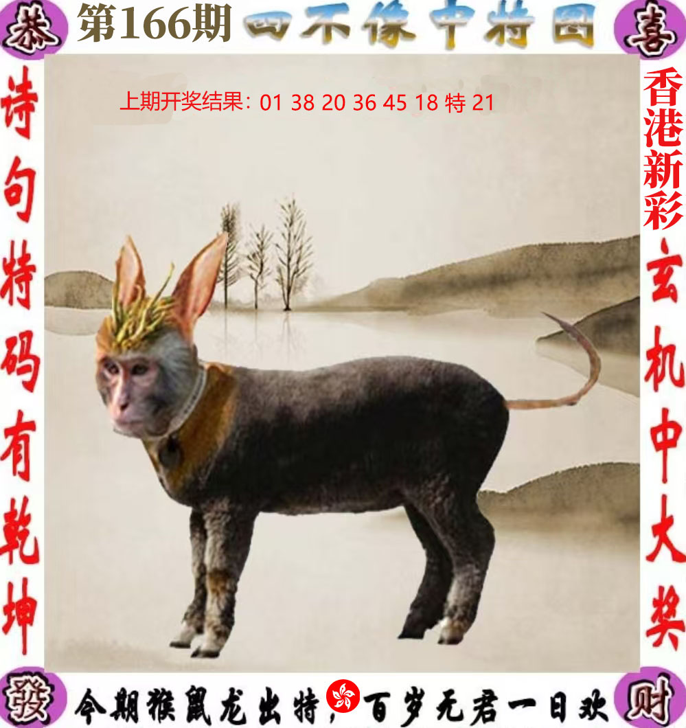 First Image