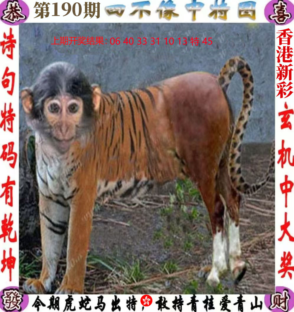First Image