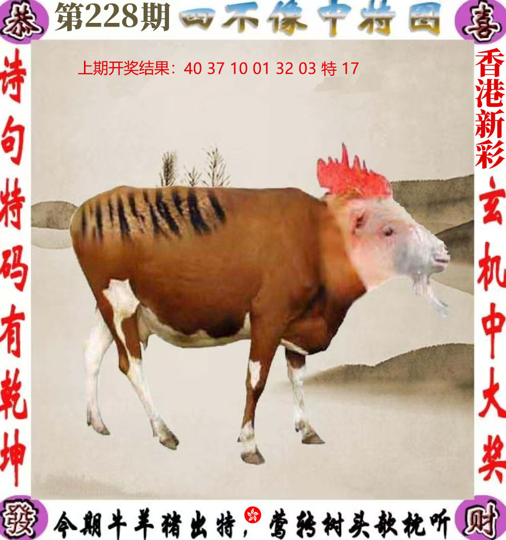 First Image