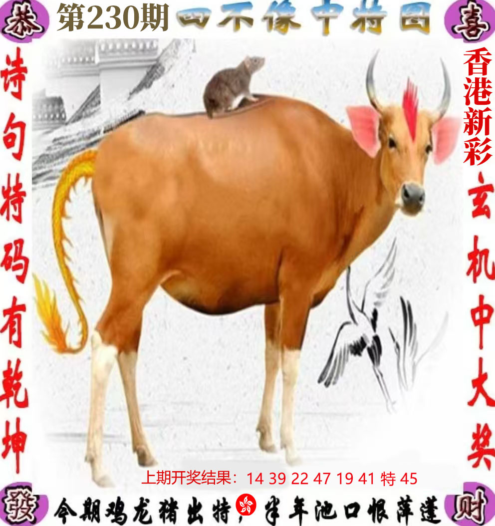 First Image